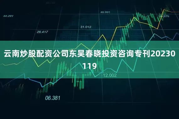 云南炒股配资公司东吴春晓投资咨询专刊20230119