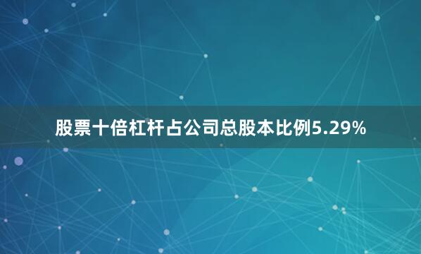 股票十倍杠杆占公司总股本比例5.29%