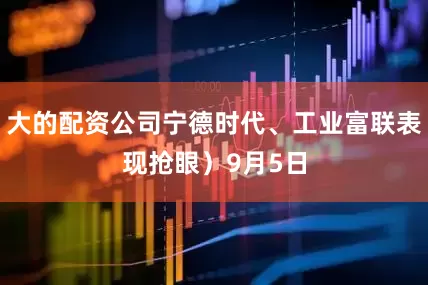 大的配资公司宁德时代、工业富联表现抢眼）9月5日